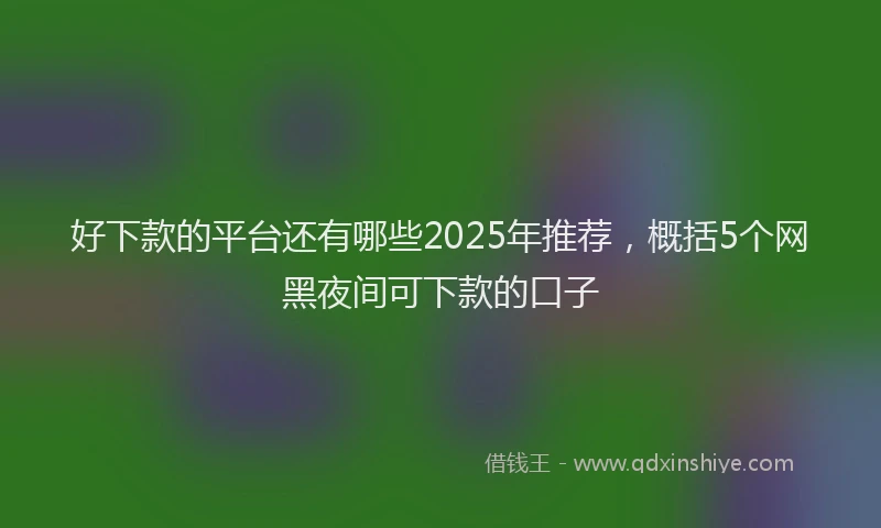 好下款的平台还有哪些2025年推荐，概括5个网黑夜间可下款的口子