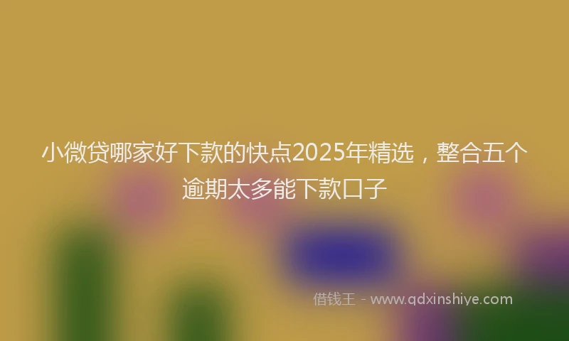 小微贷哪家好下款的快点2025年精选，整合五个逾期太多能下款口子