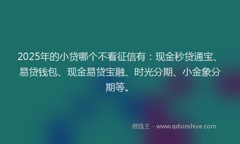 2025年的小贷哪个不看征信有：现金秒贷通宝、易贷钱包、现金易贷宝融、时光分期、小金象分期等。
