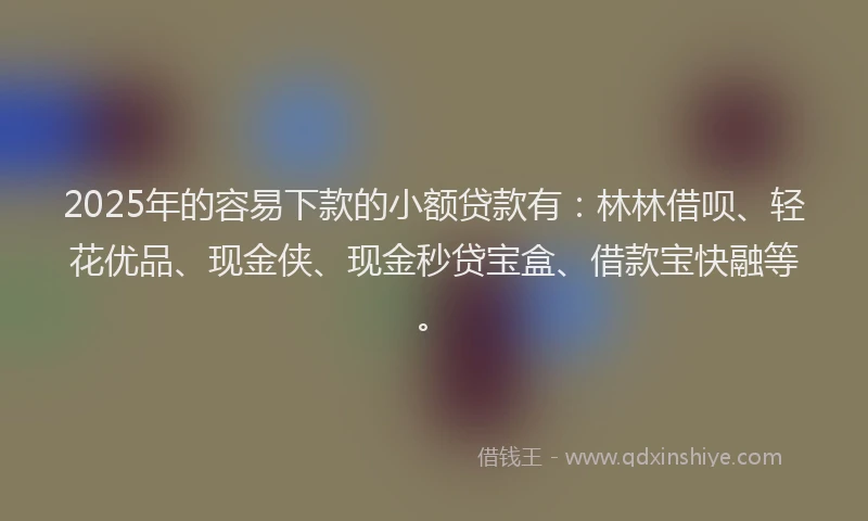 2025年的容易下款的小额贷款有：林林借呗、轻花优品、现金侠、现金秒贷宝盒、借款宝快融等。