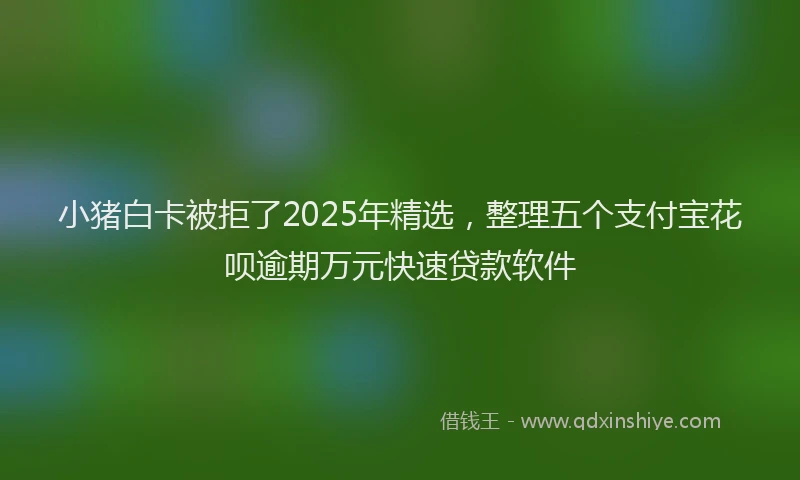 小猪白卡被拒了2025年精选，整理五个支付宝花呗逾期万元快速贷款软件