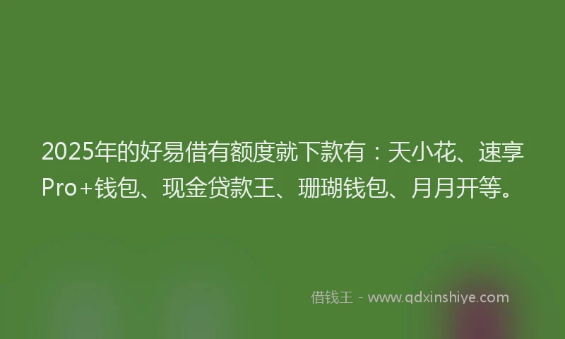 2025年的好易借有额度就下款有：天小花、速享Pro+钱包、现金贷款王、珊瑚钱包、月月开等。