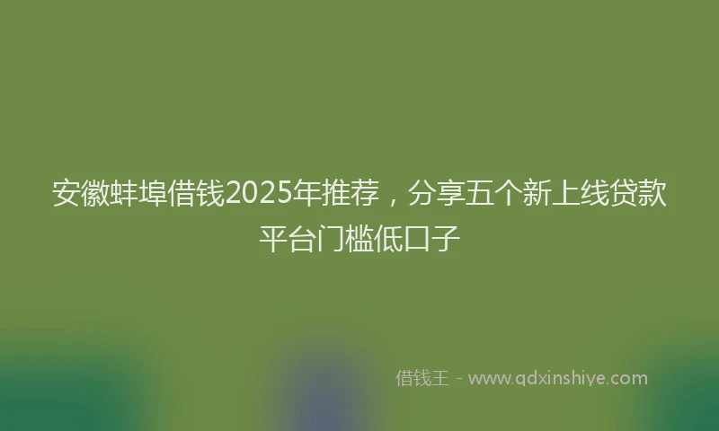 安徽蚌埠借钱2025年推荐，分享五个新上线贷款平台门槛低口子