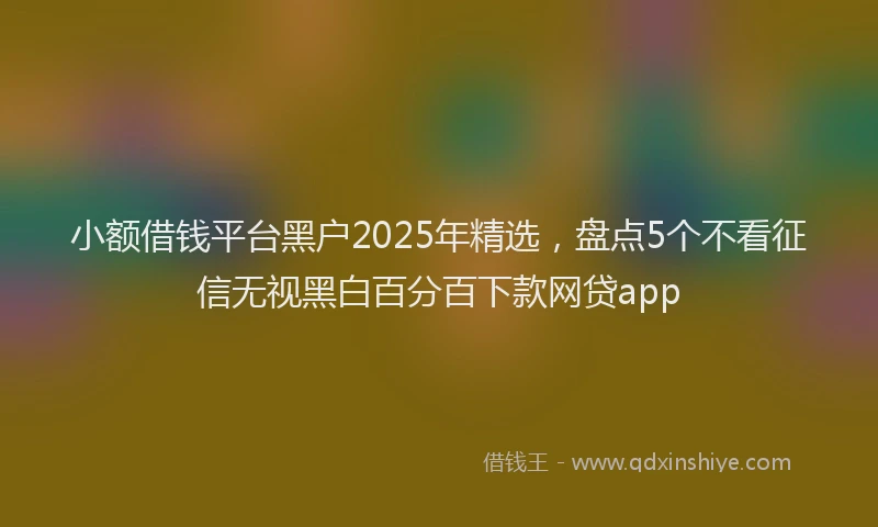 小额借钱平台黑户2025年精选，盘点5个不看征信无视黑白百分百下款网贷app