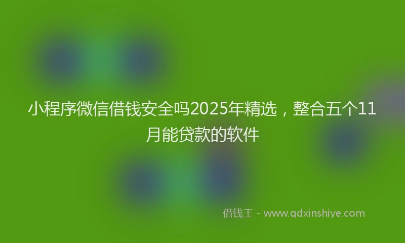 小程序微信借钱安全吗2025年精选,整合五个11月能贷款的软件