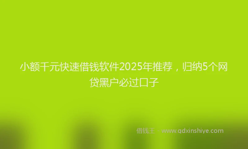 小额千元快速借钱软件2025年推荐，归纳5个网贷黑户必过口子