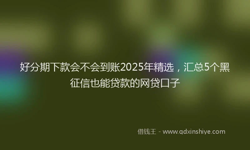 好分期下款会不会到账2025年精选，汇总5个黑征信也能贷款的网贷口子