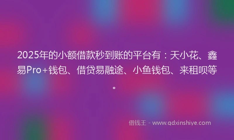 2025年的小额借款秒到账的平台有：天小花、鑫易Pro+钱包、借贷易融途、小鱼钱包、来租呗等。