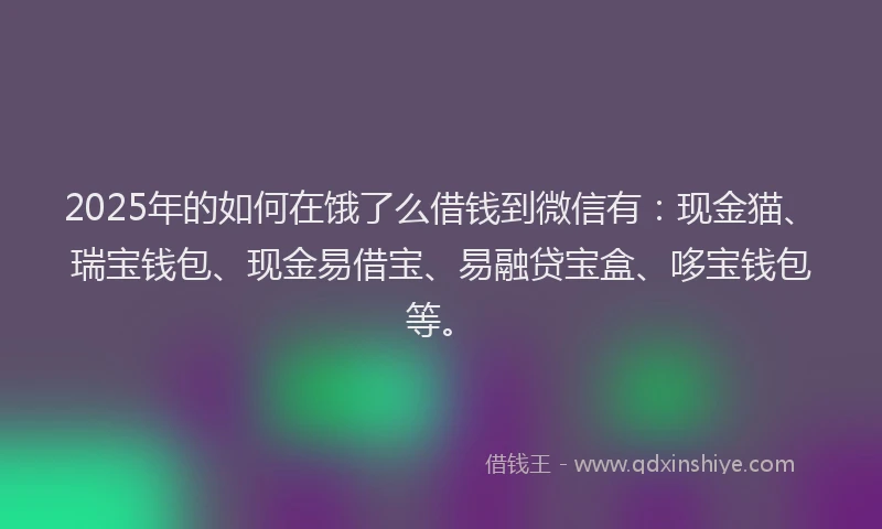 2025年的如何在饿了么借钱到微信有：现金猫、瑞宝钱包、现金易借宝、易融贷宝盒、哆宝钱包等。