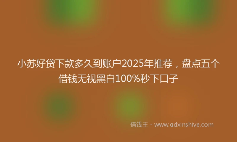 小苏好贷下款多久到账户2025年推荐，盘点五个借钱无视黑白100%秒下口子
