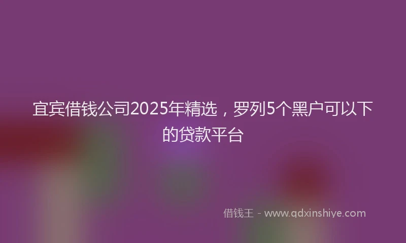 宜宾借钱公司2025年精选，罗列5个黑户可以下的贷款平台