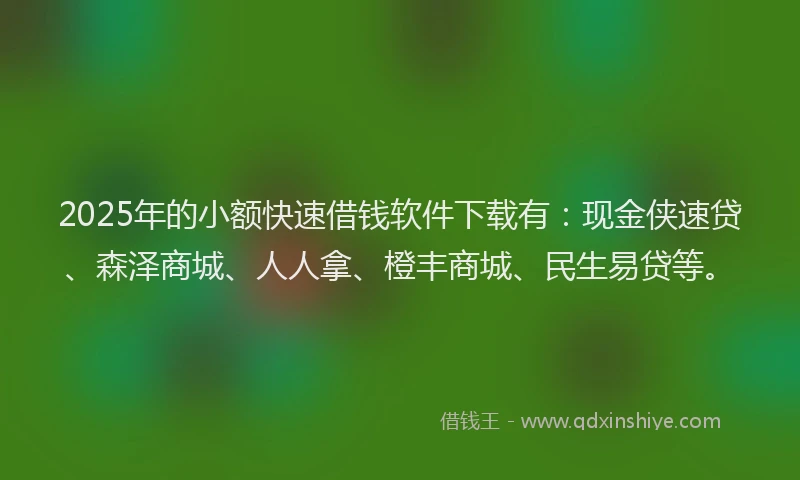 2025年的小额快速借钱软件下载有：现金侠速贷、森泽商城、人人拿、橙丰商城、民生易贷等。