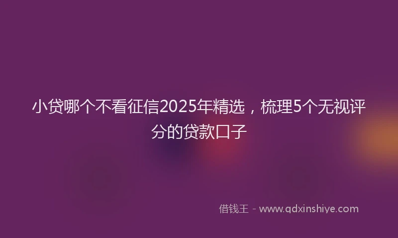 小贷哪个不看征信2025年精选，梳理5个无视评分的贷款口子