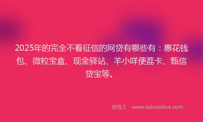 2025年的完全不看征信的网贷有哪些有：惠花钱包、微粒宝盒、现金驿站、羊小咩便荔卡、甄信贷宝等。