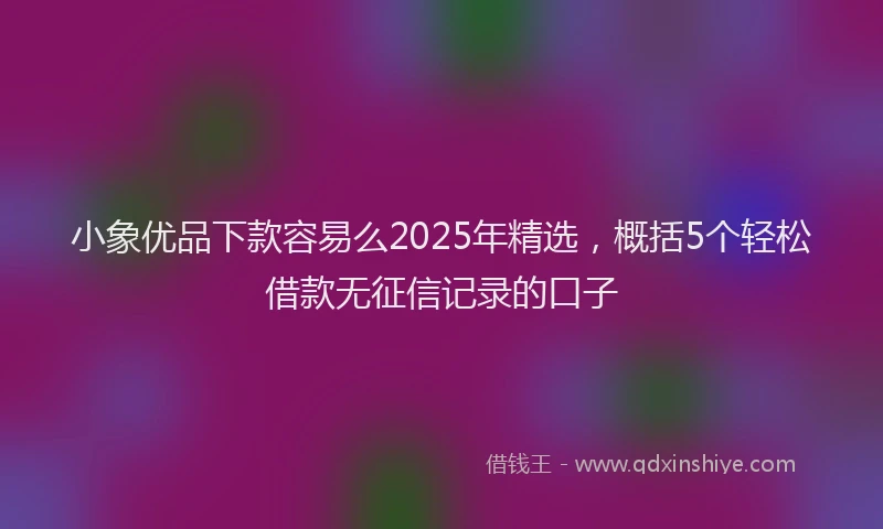 小象优品下款容易么2025年精选，概括5个轻松借款无征信记录的口子