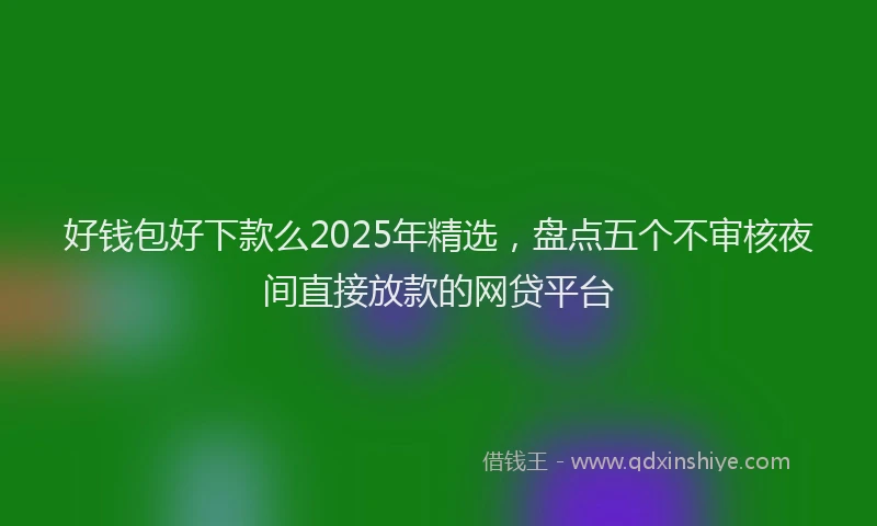 好钱包好下款么2025年精选，盘点五个不审核夜间直接放款的网贷平台