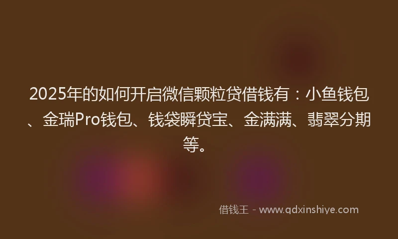 2025年的如何开启微信颗粒贷借钱有：小鱼钱包、金瑞Pro钱包、钱袋瞬贷宝、金满满、翡翠分期等。