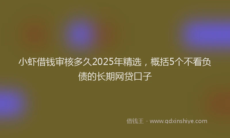 小虾借钱审核多久2025年精选，概括5个不看负债的长期网贷口子