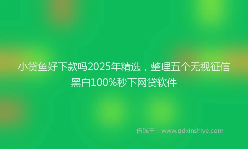 小贷鱼好下款吗2025年精选，整理五个无视征信黑白100%秒下网贷软件