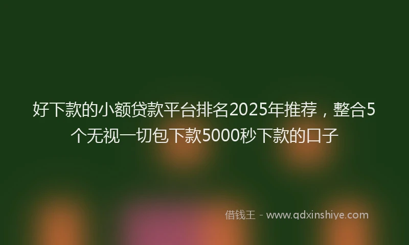 好下款的小额贷款平台排名2025年推荐，整合5个无视一切包下款5000秒下款的口子