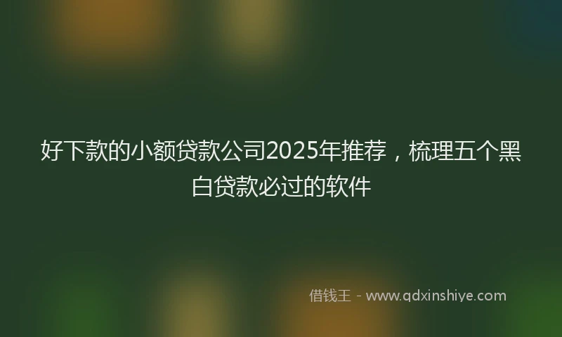 好下款的小额贷款公司2025年推荐，梳理五个黑白贷款必过的软件