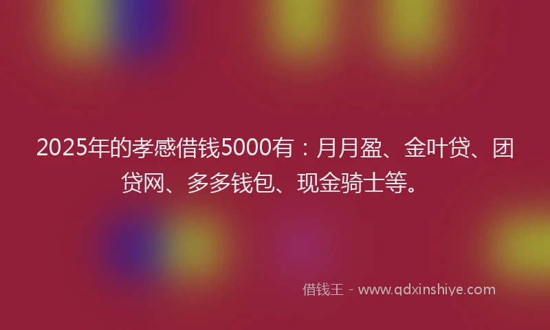 2025年的孝感借钱5000有：月月盈、金叶贷、团贷网、多多钱包、现金骑士等。