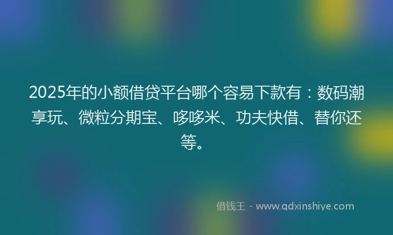2025年的小额借贷平台哪个容易下款有：数码潮享玩、微粒分期宝、哆哆米、功夫快借、替你还等。