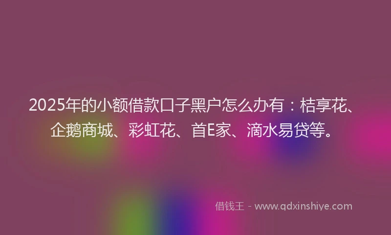 2025年的小额借款口子黑户怎么办有：桔享花、企鹅商城、彩虹花、首E家、滴水易贷等。