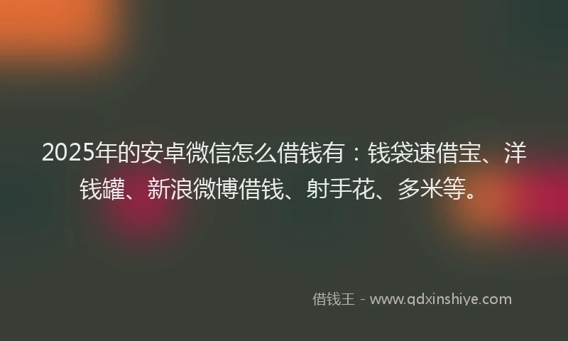 2025年的安卓微信怎么借钱有：钱袋速借宝、洋钱罐、新浪微博借钱、射手花、多米等。