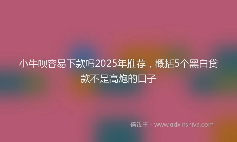 小牛呗容易下款吗2025年推荐，概括5个黑白贷款不是高炮的口子