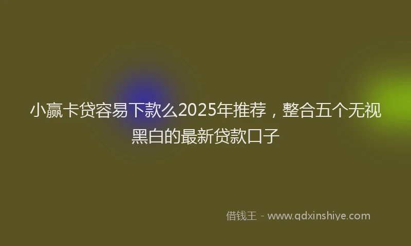 小赢卡贷容易下款么2025年推荐，整合五个无视黑白的最新贷款口子