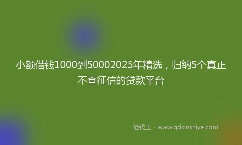 小额借钱1000到50002025年精选，归纳5个真正不查征信的贷款平台
