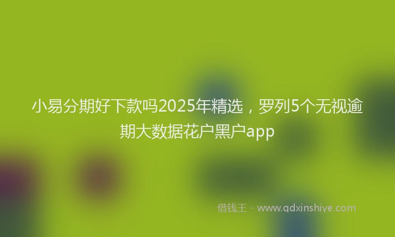 小易分期好下款吗2025年精选，罗列5个无视逾期大数据花户黑户app