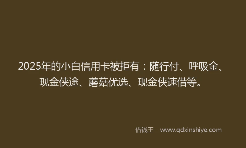 2025年的小白信用卡被拒有：随行付、呼吸金、现金侠途、蘑菇优选、现金侠速借等。