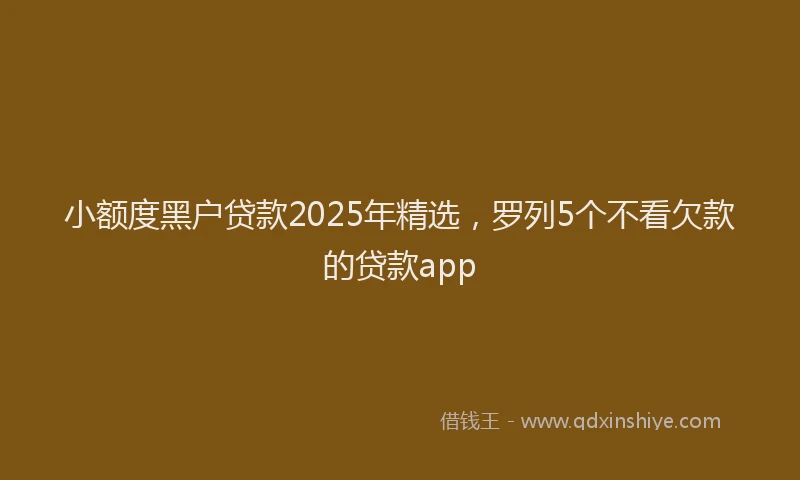 小额度黑户贷款2025年精选，罗列5个不看欠款的贷款app