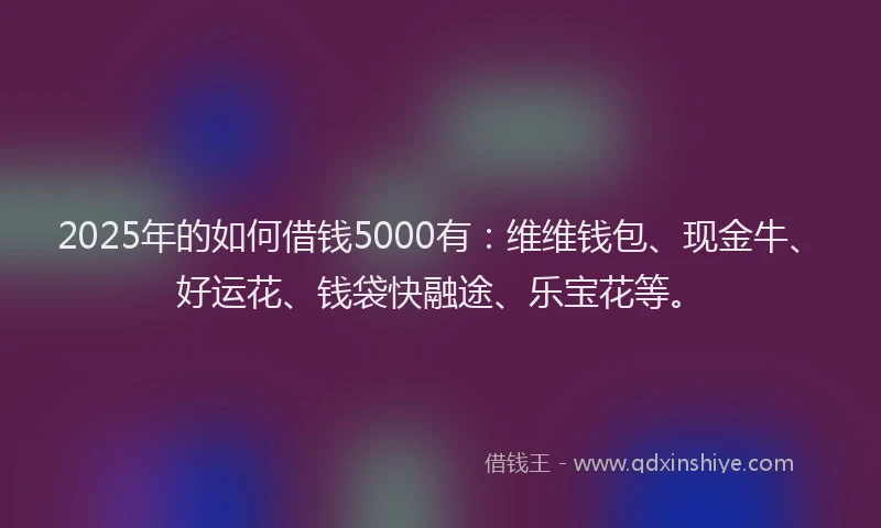 2025年的如何借钱5000有：维维钱包、现金牛、好运花、钱袋快融途、乐宝花等。