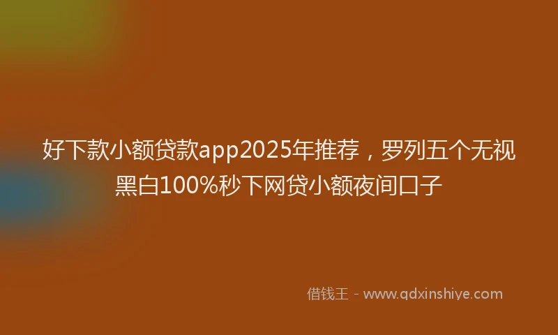 好下款小额贷款app2025年推荐，罗列五个无视黑白100%秒下网贷小额夜间口子