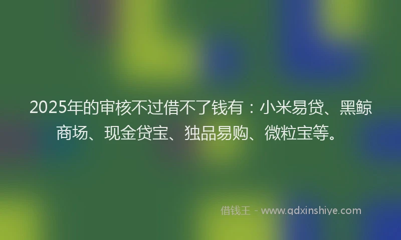 2025年的审核不过借不了钱有：小米易贷、黑鲸商场、现金贷宝、独品易购、微粒宝等。