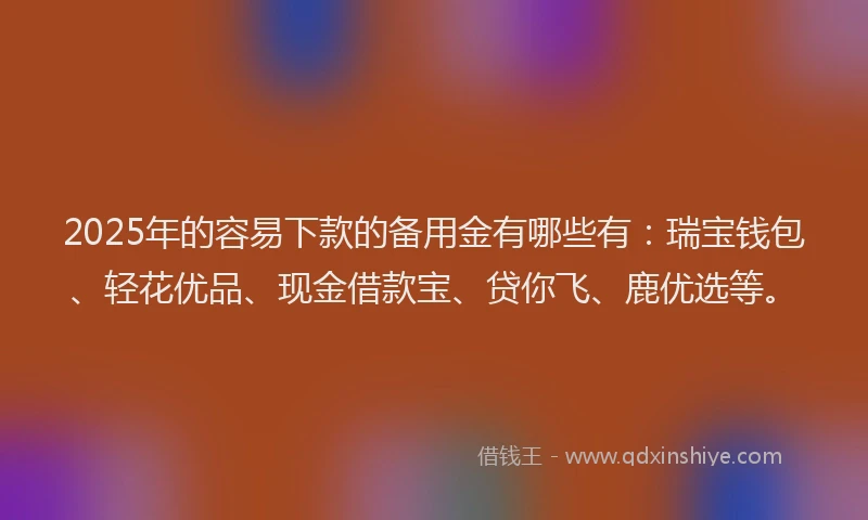 2025年的容易下款的备用金有哪些有：瑞宝钱包、轻花优品、现金借款宝、贷你飞、鹿优选等。