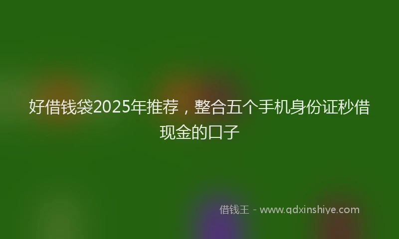 好借钱袋2025年推荐，整合五个手机身份证秒借现金的口子