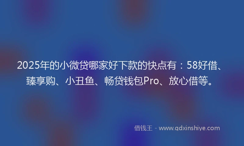 2025年的小微贷哪家好下款的快点有：58好借、臻享购、小丑鱼、畅贷钱包Pro、放心借等。