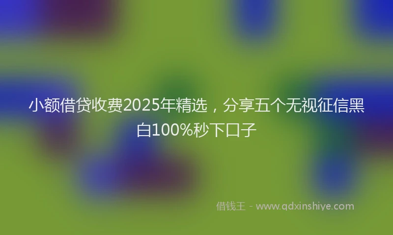 小额借贷收费2025年精选，分享五个无视征信黑白100%秒下口子