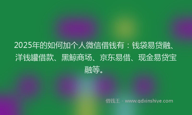 2025年的如何加个人微信借钱有：钱袋易贷融、洋钱罐借款、黑鲸商场、京东易借、现金易贷宝融等。