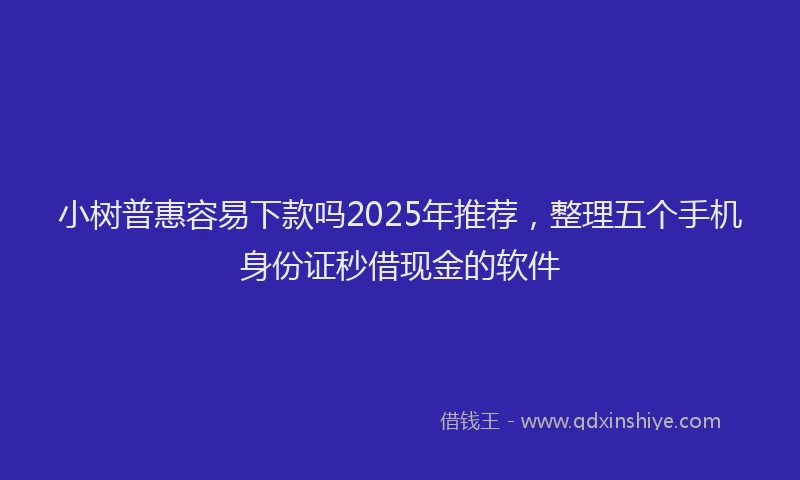 小树普惠容易下款吗2025年推荐，整理五个手机身份证秒借现金的软件