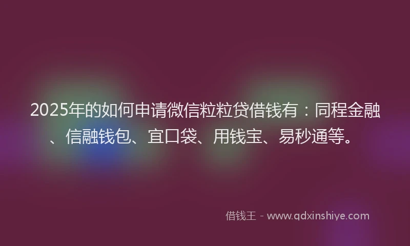 2025年的如何申请微信粒粒贷借钱有：同程金融、信融钱包、宜口袋、用钱宝、易秒通等。