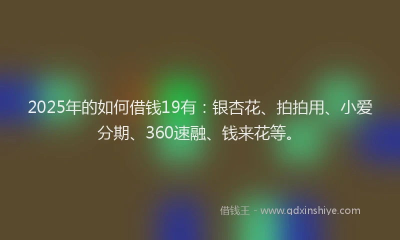 2025年的如何借钱19有：银杏花、拍拍用、小爱分期、360速融、钱来花等。