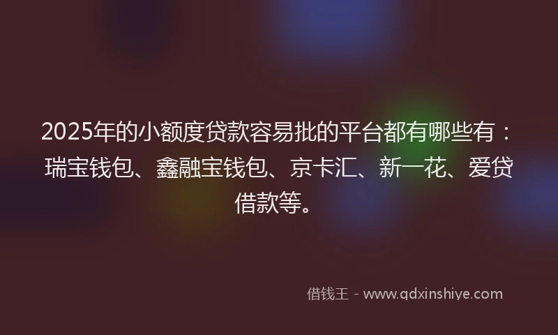 2025年的小额度贷款容易批的平台都有哪些有：瑞宝钱包、鑫融宝钱包、京卡汇、新一花、爱贷借款等。