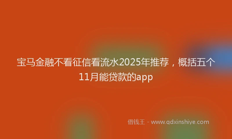 宝马金融不看征信看流水2025年推荐，概括五个11月能贷款的app