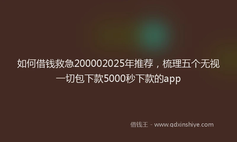 如何借钱救急200002025年推荐，梳理五个无视一切包下款5000秒下款的app