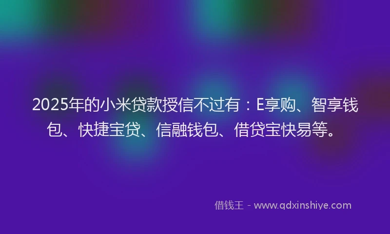 2025年的小米贷款授信不过有：E享购、智享钱包、快捷宝贷、信融钱包、借贷宝快易等。